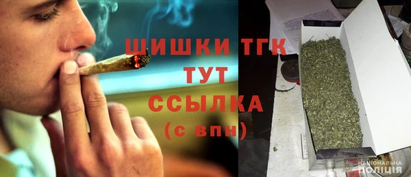стаф Магадан