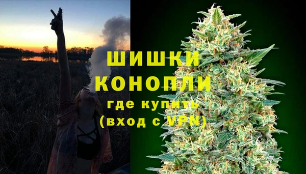 ГАЛЛЮЦИНОГЕННЫЕ ГРИБЫ Бугульма