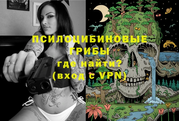 стаф Магадан