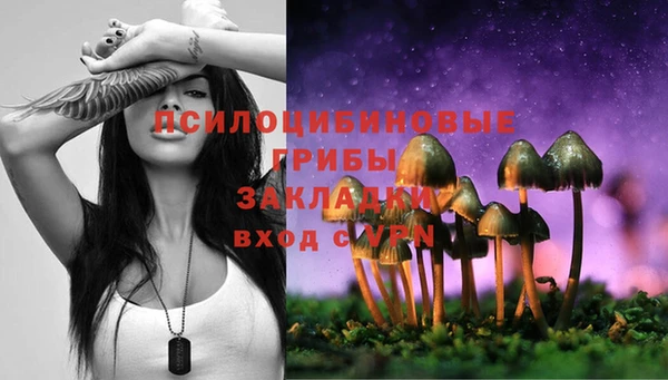 стаф Магадан