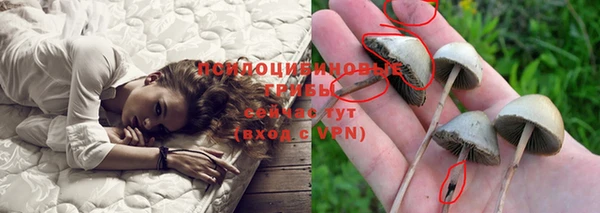 apvp Майский