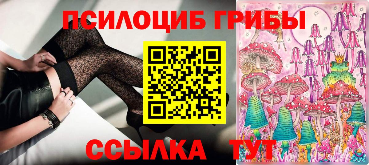 Псилоцибиновые грибы Psilocybine cubensis Анжеро-Судженск