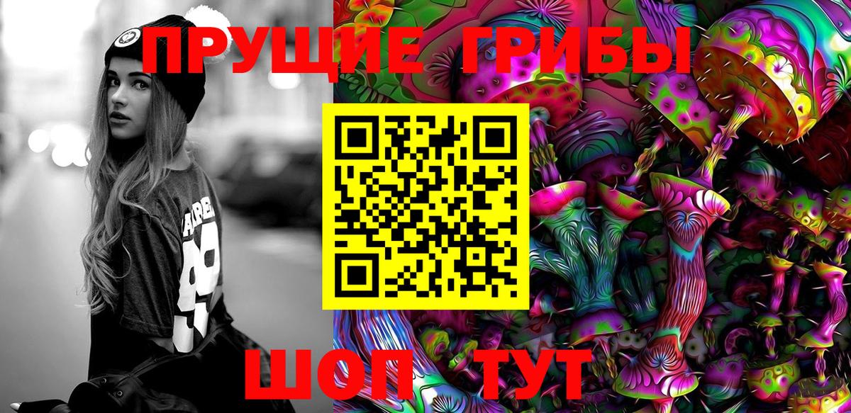 Анжеро-Судженск  Галлюциногенные грибы прущие грибы  Вход с VPN 