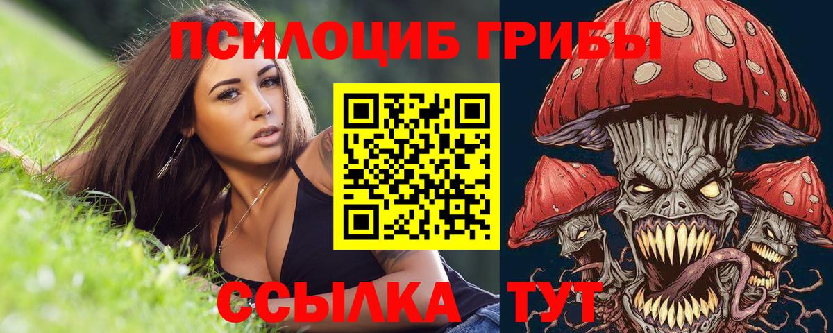 Анжеро-Судженск  Галлюциногенные грибы ЛСД  Вход с VPN 