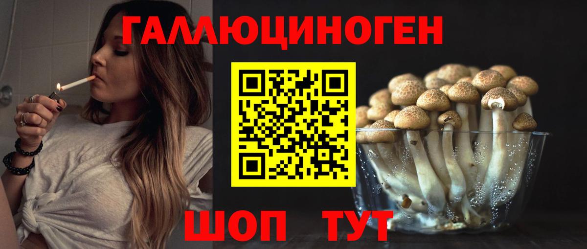Псилоцибиновые грибы Psilocybine cubensis Анжеро-Судженск