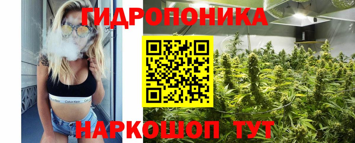 Канабис ГИДРОПОН Анжеро-Судженск